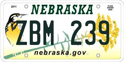 NE license plate ZBM239