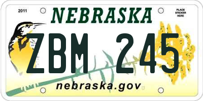 NE license plate ZBM245