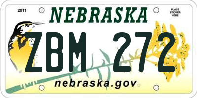 NE license plate ZBM272