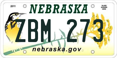 NE license plate ZBM273