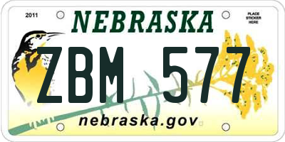 NE license plate ZBM577