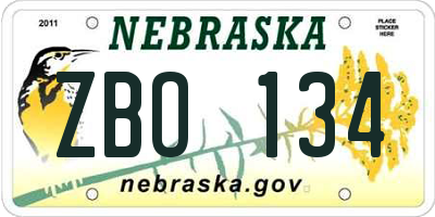 NE license plate ZBO134