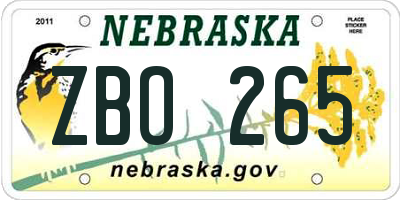 NE license plate ZBO265