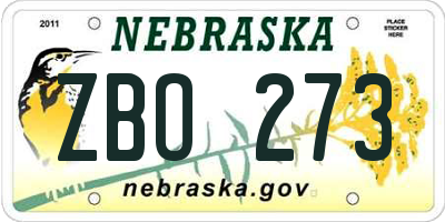 NE license plate ZBO273
