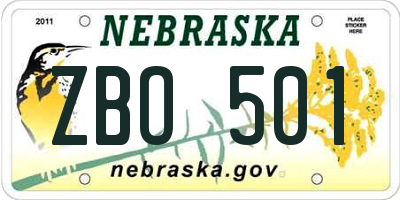 NE license plate ZBO501