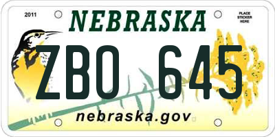 NE license plate ZBO645