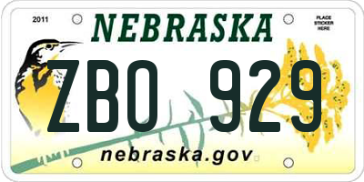 NE license plate ZBO929