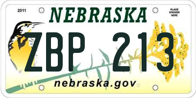 NE license plate ZBP213