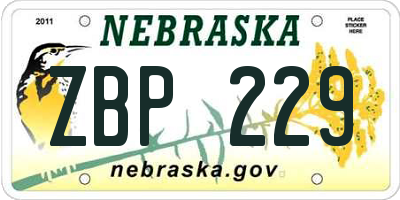 NE license plate ZBP229