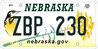 NE license plate ZBP230