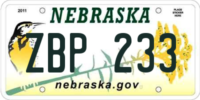 NE license plate ZBP233