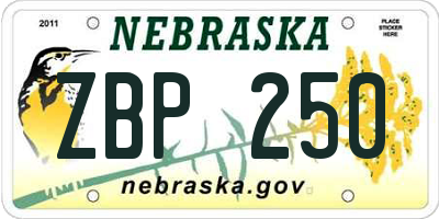NE license plate ZBP250