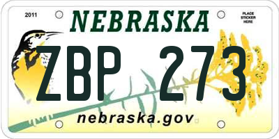 NE license plate ZBP273