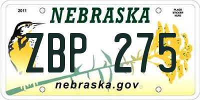 NE license plate ZBP275