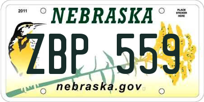 NE license plate ZBP559