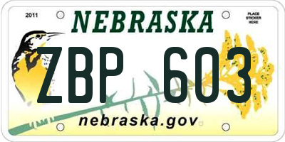 NE license plate ZBP603