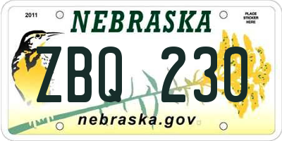 NE license plate ZBQ230