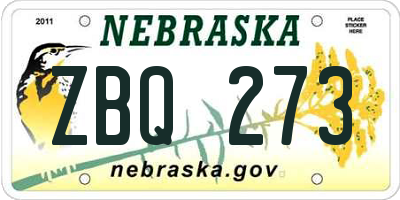 NE license plate ZBQ273