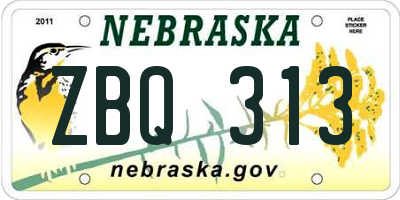 NE license plate ZBQ313