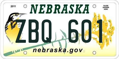 NE license plate ZBQ601