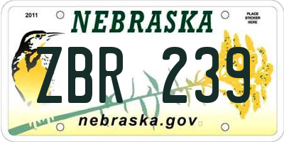 NE license plate ZBR239
