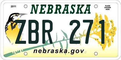 NE license plate ZBR271