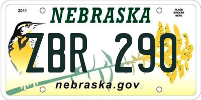 NE license plate ZBR290