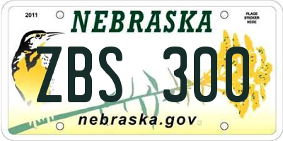 NE license plate ZBS300