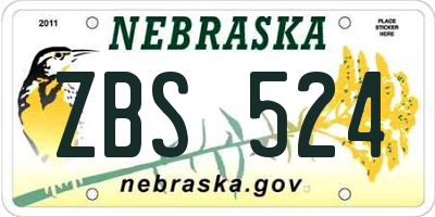 NE license plate ZBS524