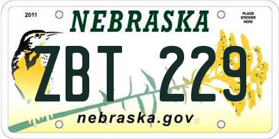 NE license plate ZBT229