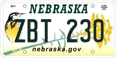 NE license plate ZBT230