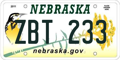 NE license plate ZBT233