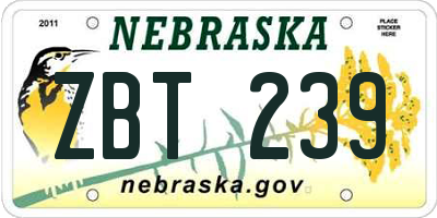 NE license plate ZBT239