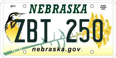 NE license plate ZBT250