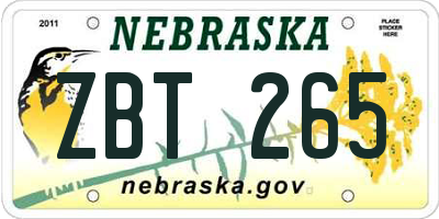 NE license plate ZBT265