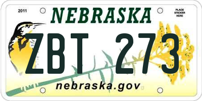 NE license plate ZBT273
