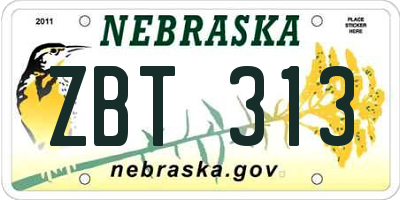 NE license plate ZBT313