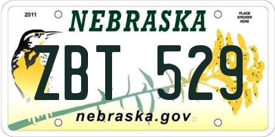 NE license plate ZBT529