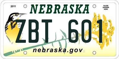 NE license plate ZBT601