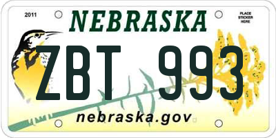 NE license plate ZBT993