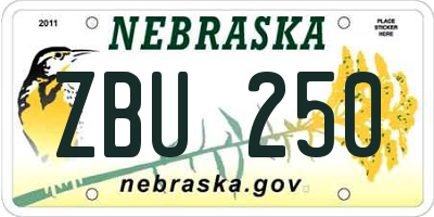 NE license plate ZBU250