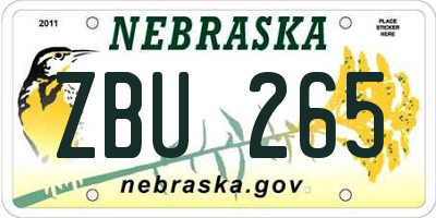 NE license plate ZBU265