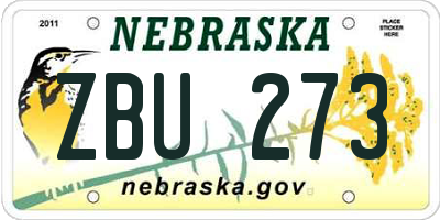 NE license plate ZBU273