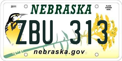 NE license plate ZBU313