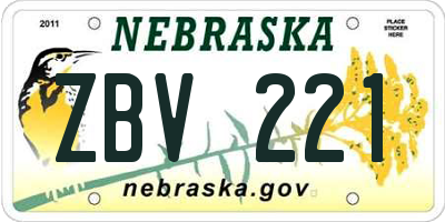 NE license plate ZBV221
