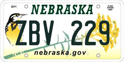 NE license plate ZBV229