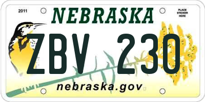 NE license plate ZBV230