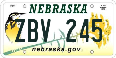NE license plate ZBV245