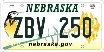 NE license plate ZBV250