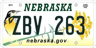NE license plate ZBV263